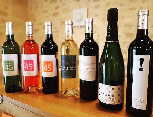 Wine tours & tastings by appointement & direct sales